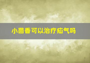 小茴香可以治疗疝气吗