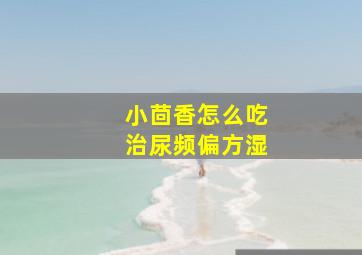 小茴香怎么吃治尿频偏方湿