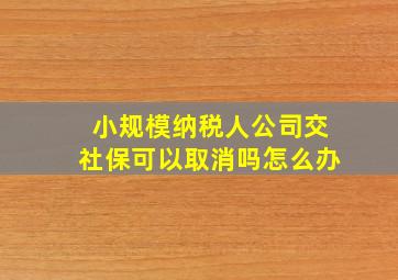 小规模纳税人公司交社保可以取消吗怎么办