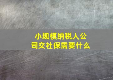 小规模纳税人公司交社保需要什么