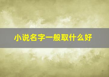 小说名字一般取什么好