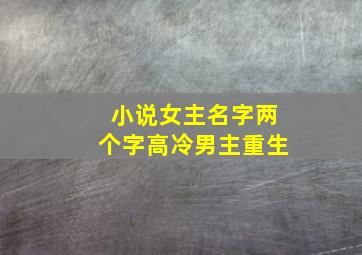 小说女主名字两个字高冷男主重生