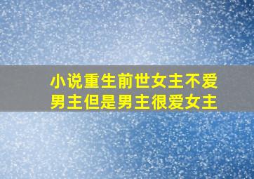 小说重生前世女主不爱男主但是男主很爱女主