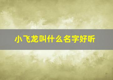 小飞龙叫什么名字好听