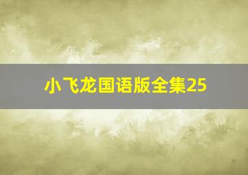 小飞龙国语版全集25