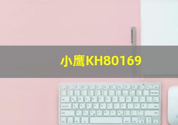 小鹰KH80169