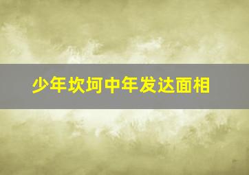 少年坎坷中年发达面相