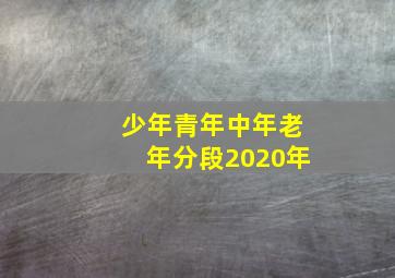 少年青年中年老年分段2020年