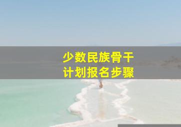 少数民族骨干计划报名步骤