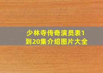 少林寺传奇演员表1到20集介绍图片大全