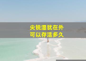 尖锐湿犹在外可以存活多久