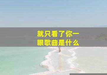 就只看了你一眼歌曲是什么