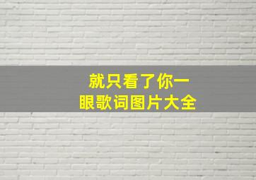 就只看了你一眼歌词图片大全