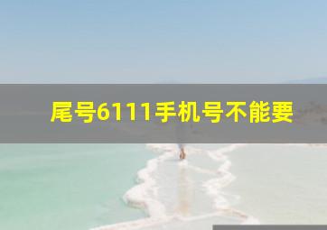 尾号6111手机号不能要