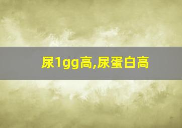 尿1gg高,尿蛋白高