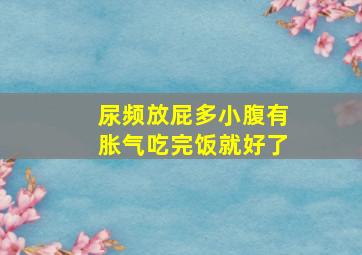 尿频放屁多小腹有胀气吃完饭就好了