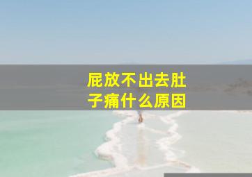 屁放不出去肚子痛什么原因