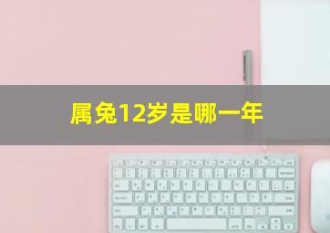 属兔12岁是哪一年