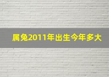 属兔2011年出生今年多大