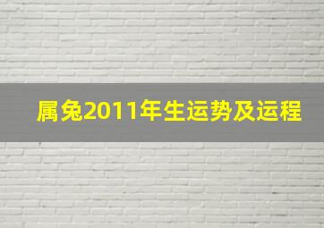 属兔2011年生运势及运程