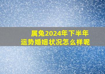 属兔2024年下半年运势婚姻状况怎么样呢