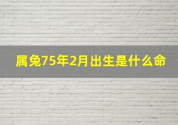 属兔75年2月出生是什么命