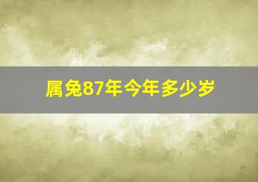 属兔87年今年多少岁