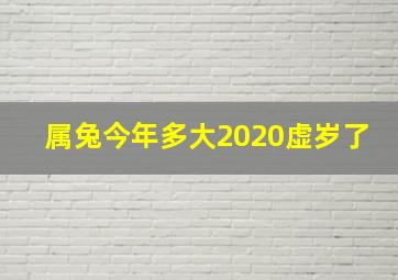 属兔今年多大2020虚岁了