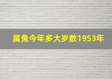 属兔今年多大岁数1953年