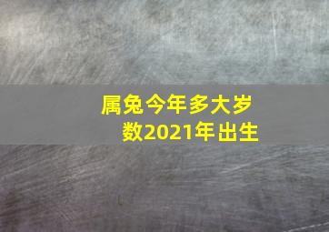 属兔今年多大岁数2021年出生