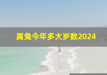 属兔今年多大岁数2024