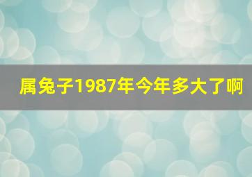 属兔子1987年今年多大了啊