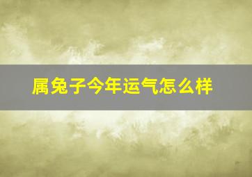 属兔子今年运气怎么样