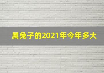 属兔子的2021年今年多大