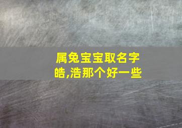 属兔宝宝取名字皓,浩那个好一些