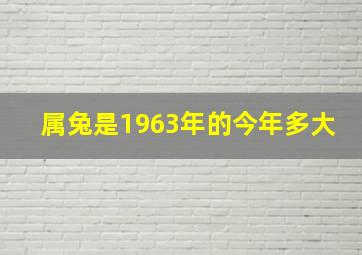 属兔是1963年的今年多大