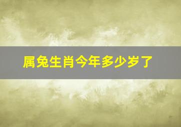 属兔生肖今年多少岁了