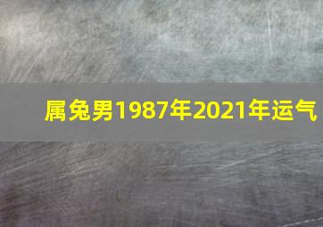 属兔男1987年2021年运气