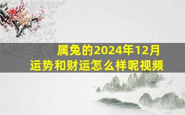 属兔的2024年12月运势和财运怎么样呢视频