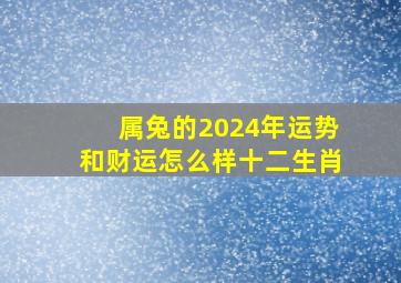 属兔的2024年运势和财运怎么样十二生肖