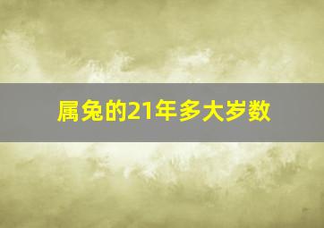 属兔的21年多大岁数