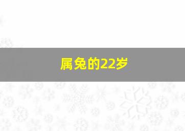 属兔的22岁