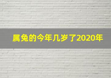 属兔的今年几岁了2020年