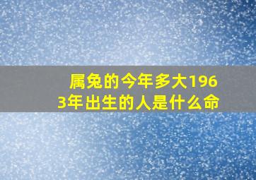 属兔的今年多大1963年出生的人是什么命