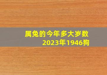 属兔的今年多大岁数2023年1946狗