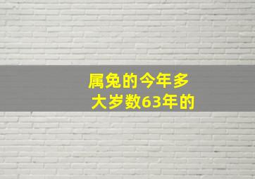 属兔的今年多大岁数63年的