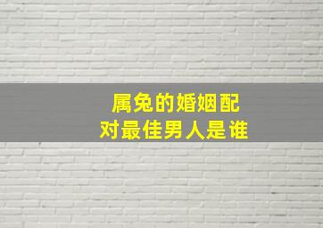 属兔的婚姻配对最佳男人是谁