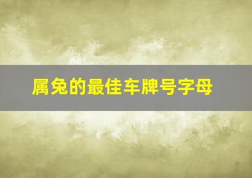 属兔的最佳车牌号字母