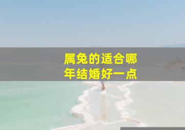 属兔的适合哪年结婚好一点