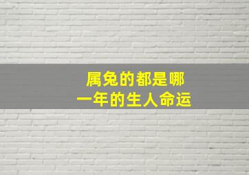 属兔的都是哪一年的生人命运